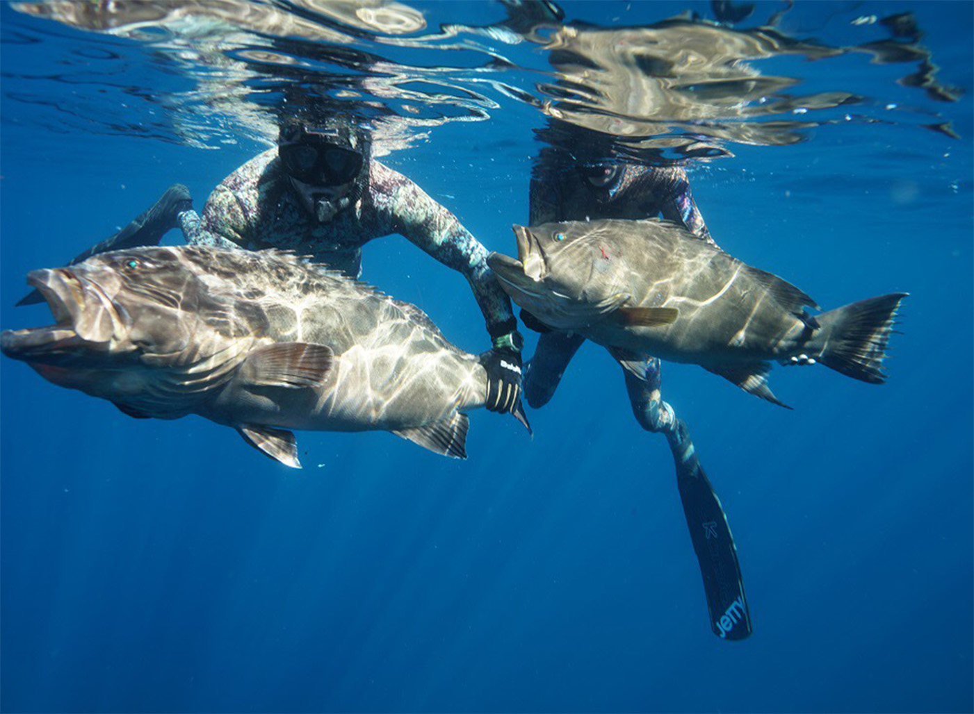 Spearfishing catch at Playas Pacificas