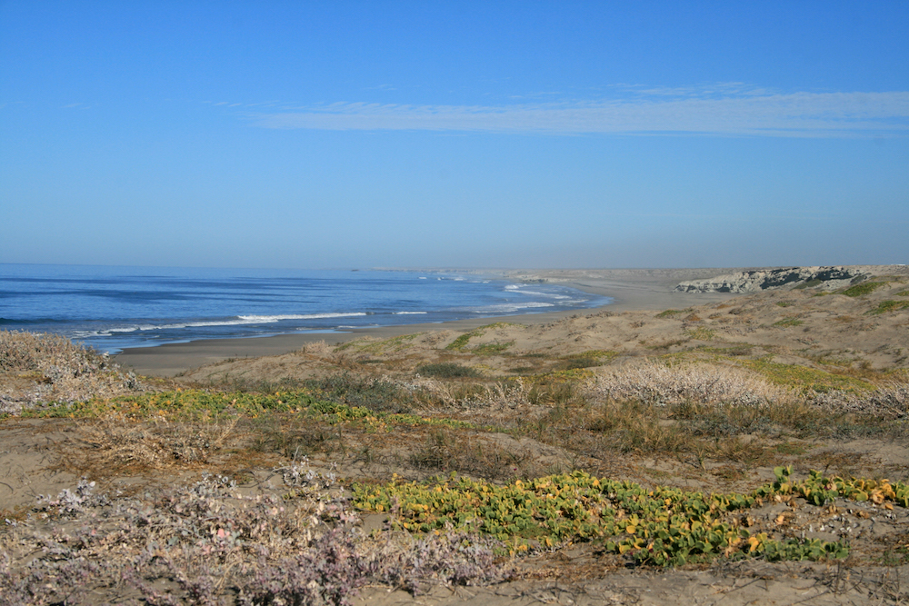 Looking down the beach at Playas Pacificas