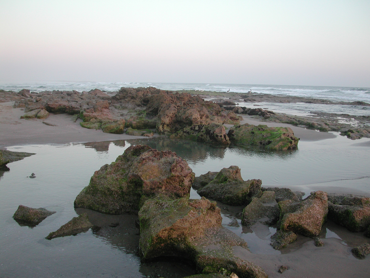 Tidepools at Playas Pacificas